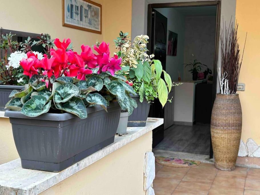 Domus Acquedotto Apartment Рим Екстериор снимка